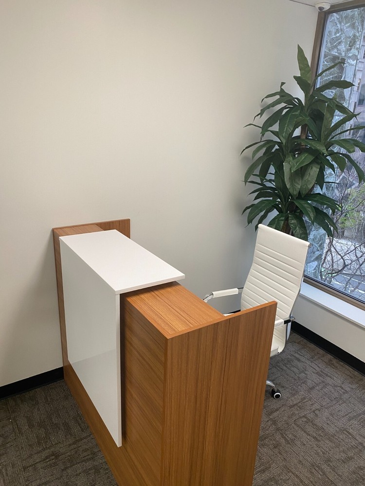 Reception Desk Counter Top, Laminate Desktop, Standing Front Table for Salon Spa