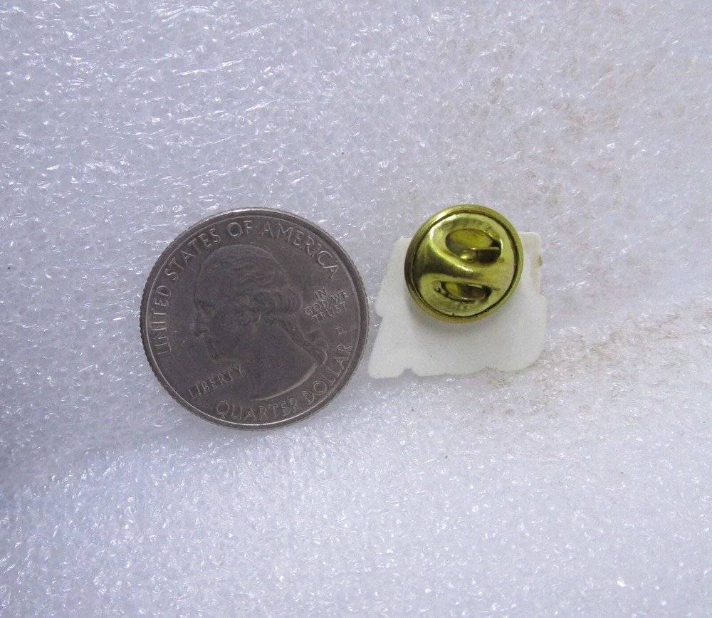FLA USA Florida Plastic Pin