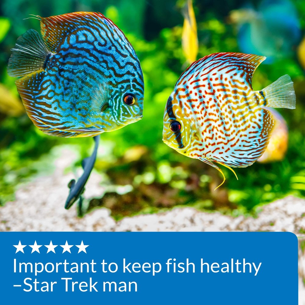 pH UP Freshwater Aquarium pH Raising Solution 4 oz