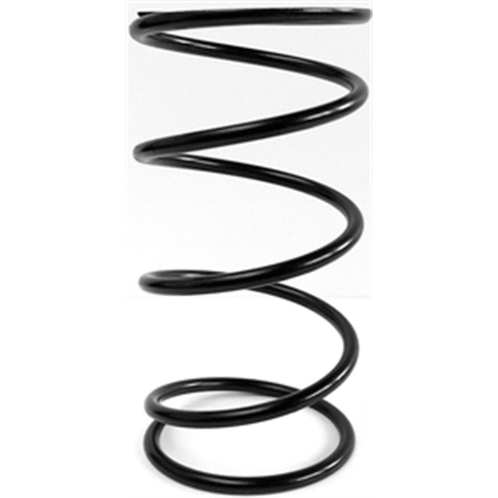 EPI Clutch Spring ,BRITEGREEN PEBS12