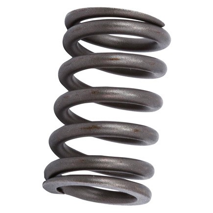 Engine Valve Spring ACDelco 12565199