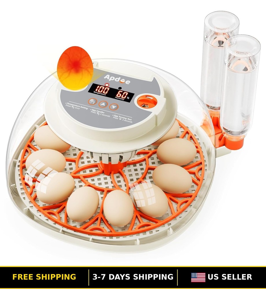 Digital Egg Incubator with Automatic Turning, Temp & Humidity Control