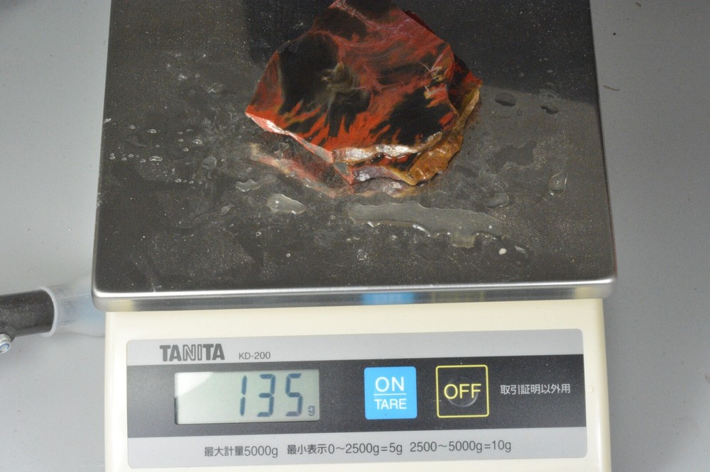 Petrified Wood, Circle Cliffs, Utah, 135 grams