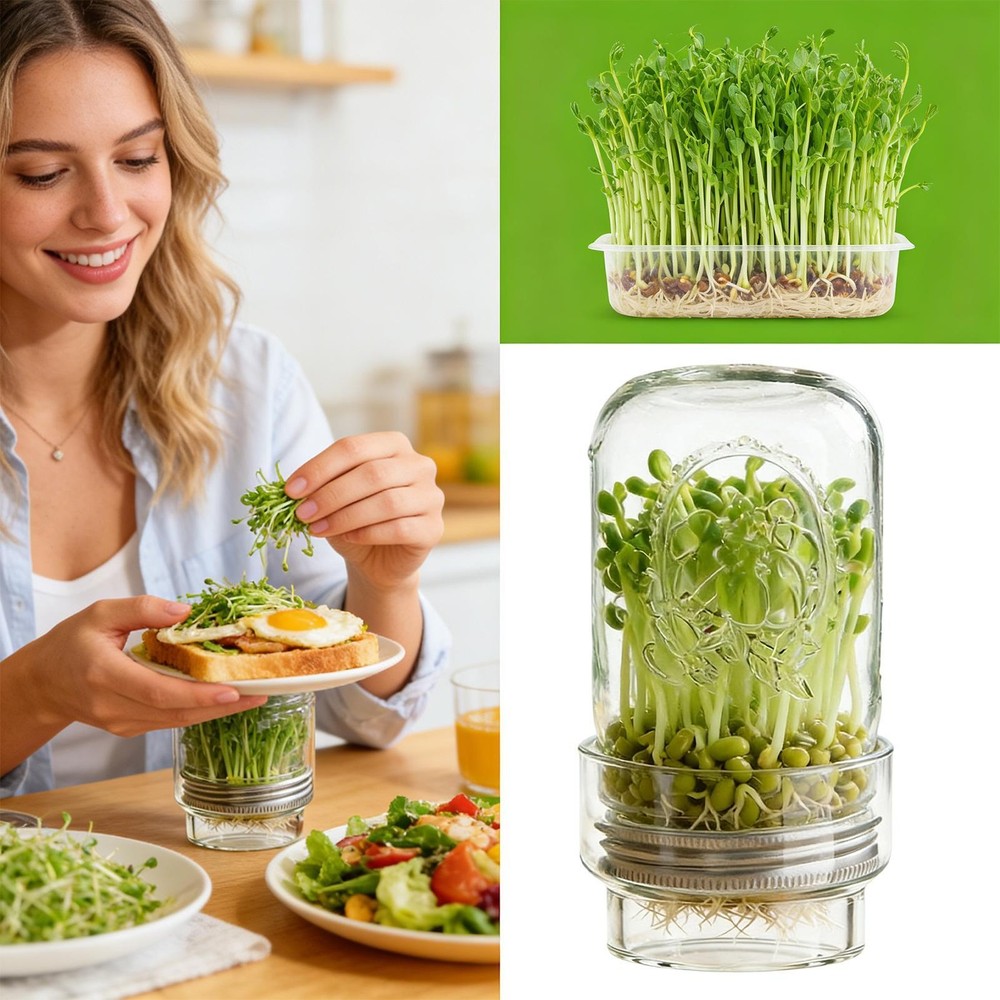 Sprouting Jar Kit Mung Bean Sprouts Growing Broccoli Sprouts Growing