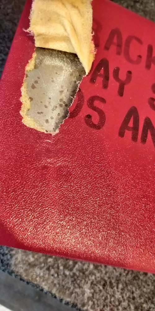 COMPLETE TESTED ~ Starrett 196A5Z / 196 Universal Back Plunger Dial Indicator