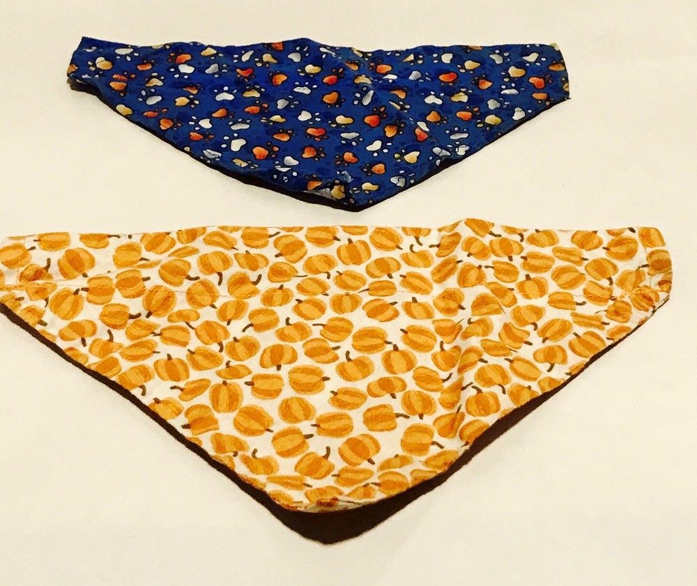 10 Piece Pet Cat Accessories & Bag