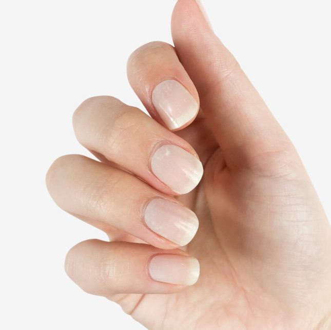 Business Professional -  Nail Wraps