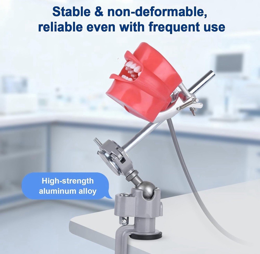 Dental Typodont Training Model Mount Kit
