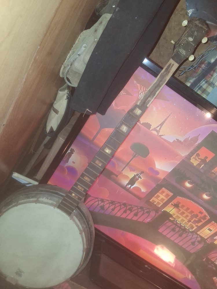 Vintage 1964 Banjo