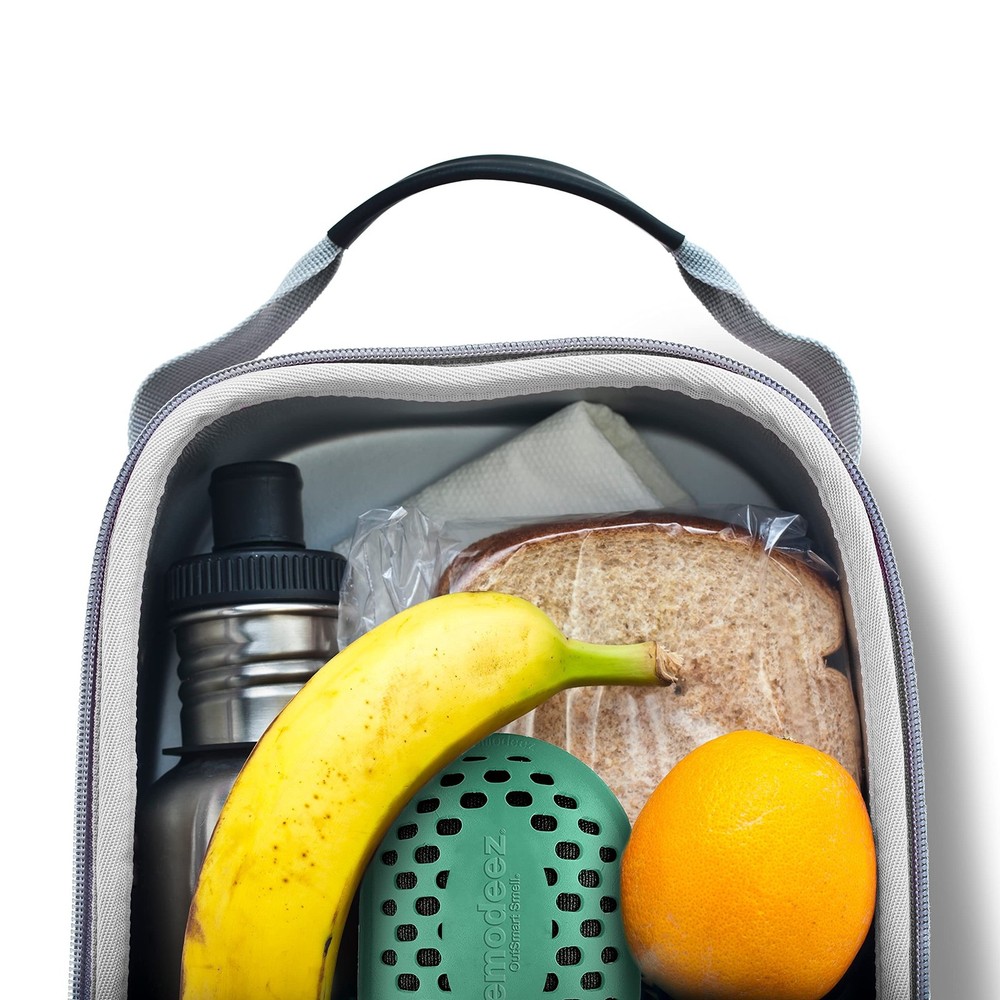 remodeez Refrigerator Deodorizer and Odor Eliminator, Activated Charcoal Bags...