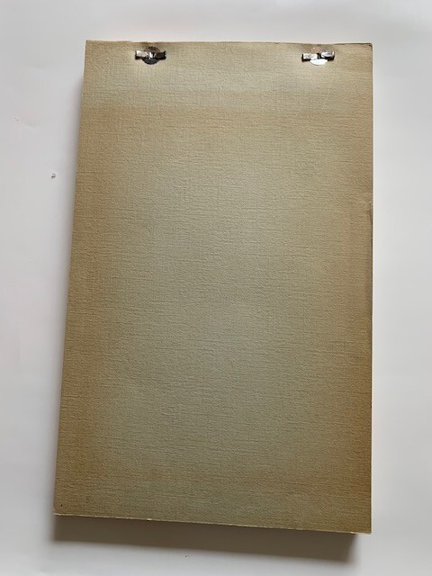 SUNDAY-BLOODY SUNDAY: RELEASE SCRIPT - BY PENELOPE GILLIATT