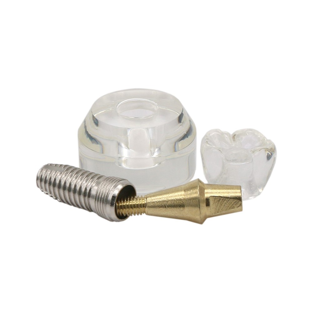2.5X Dental Typodont Implant Teeth Model Study Teach Demonstration Model M2020