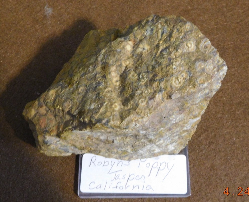 Rare Robyn's Poppy Jasper Rough
