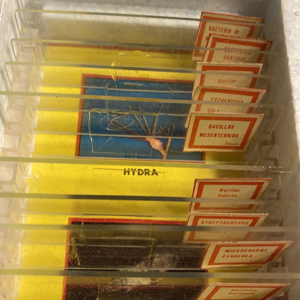 Milben Microscope 22/24 Prepared Slides Bacteria & Blood ***Missing 2 Slides***