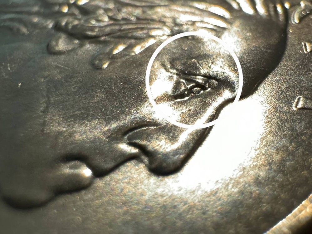 2024-P Patsy Takemoto Mink Quarter - DDO: Extreme Doubled Eyelid