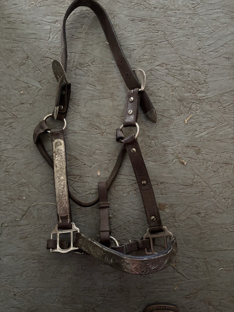 Western Show Halter