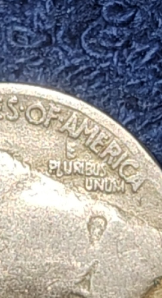 1936 buffalo nickel S