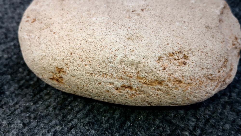 Fossilized Footprints! Hand Picked