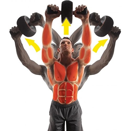 Ab Wheel