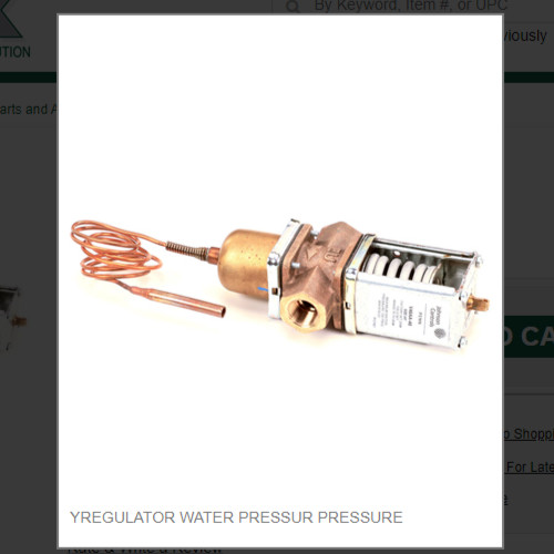 YREGULATOR WATER PRESSUR PRESSURE  #9041010-01