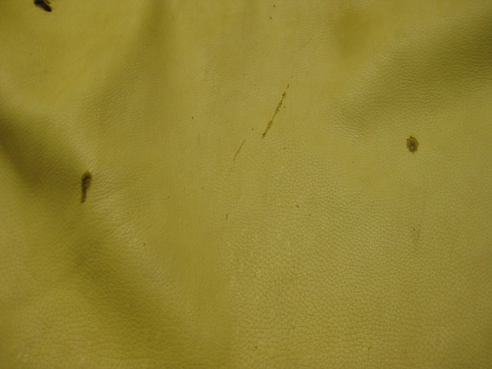 Top Grain Deer Leather #0010063 Row AA