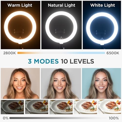 Overhead Phone Mount with Ring Light, 10" LED Selfie Ring Light for Medium