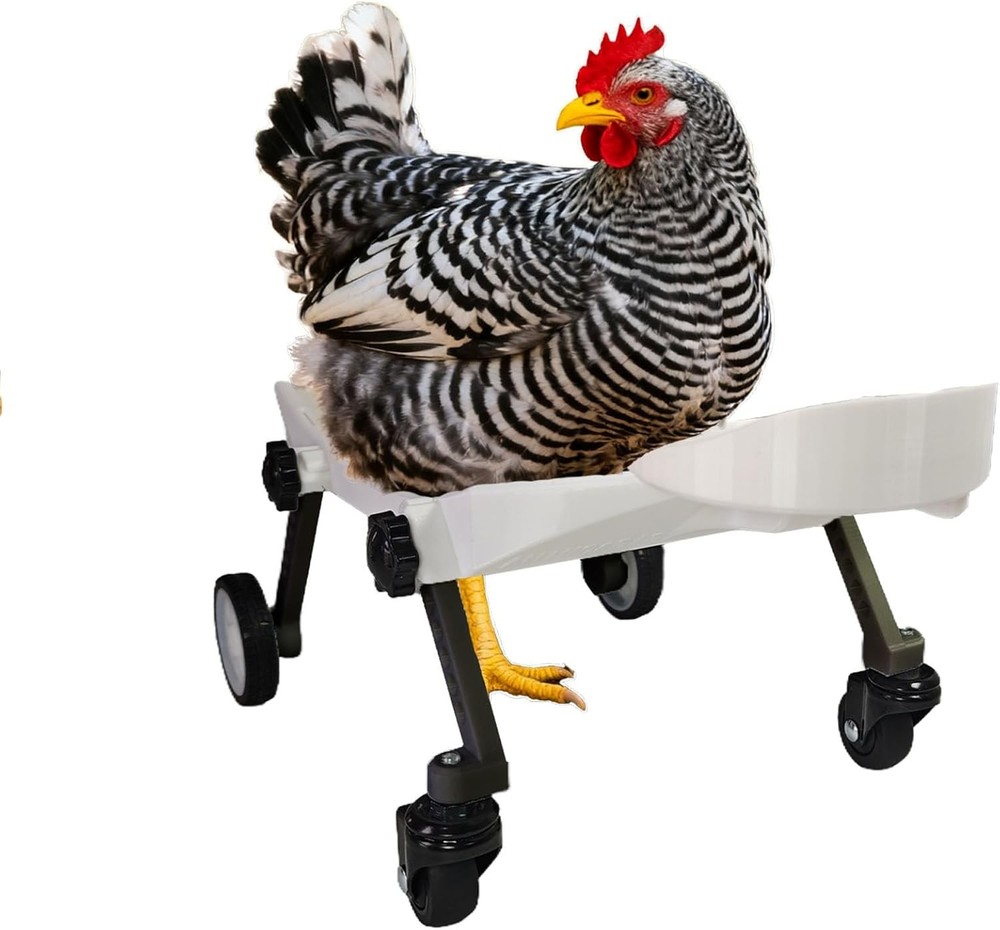 Medium-Scale Pet Chicken Wheelchair Adjustable Mobility Aid Cart