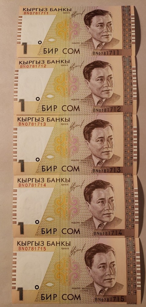 5 Notes-KYRGYZSTAN 1 SOM 1999 P - 15  UNC BUNDLE It.#F-6