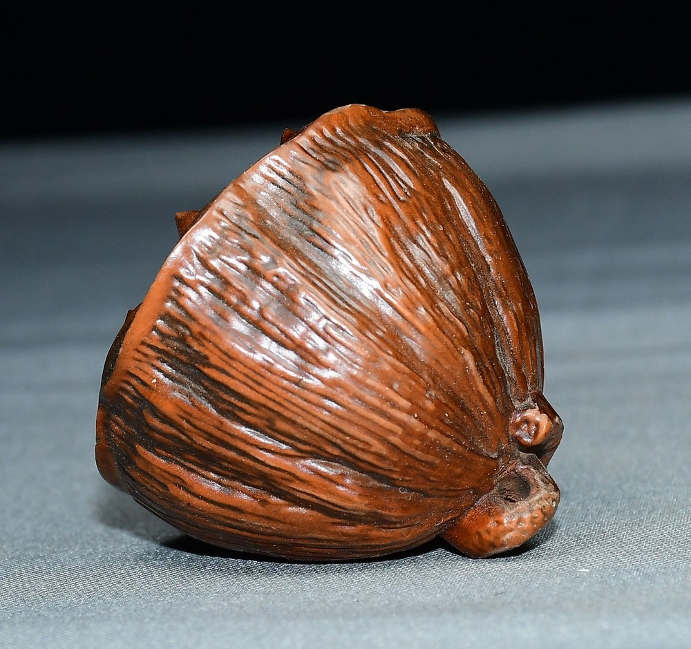 Exquisite Small Leaf Boxwood Lotus Canopy Handle