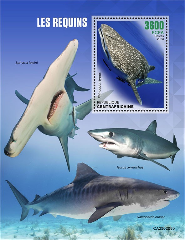 Sharks