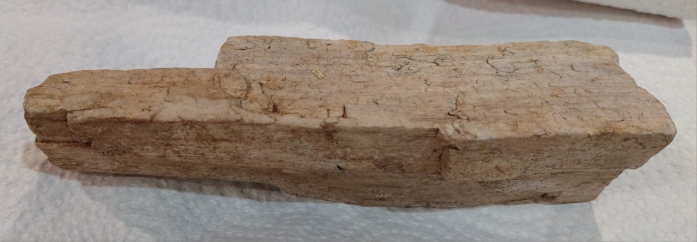 11 oz. Petrified Wood Silica