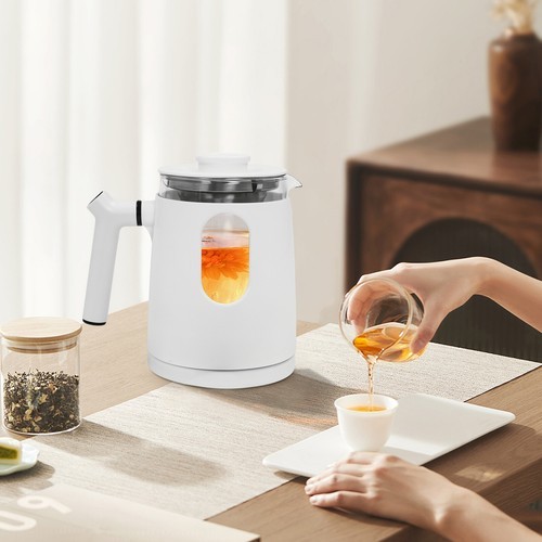 Temperature Control Electric Tea Kettle Water Boiler & Heater Electric Kettle