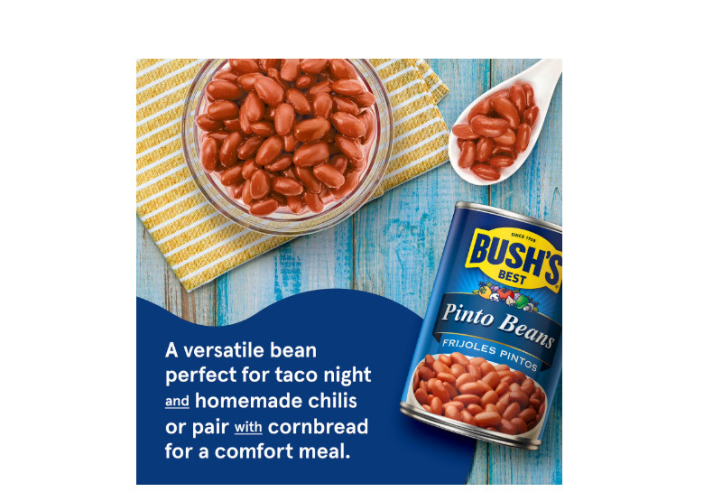 Bush's Pinto Beans 16 oz., 6 pk.