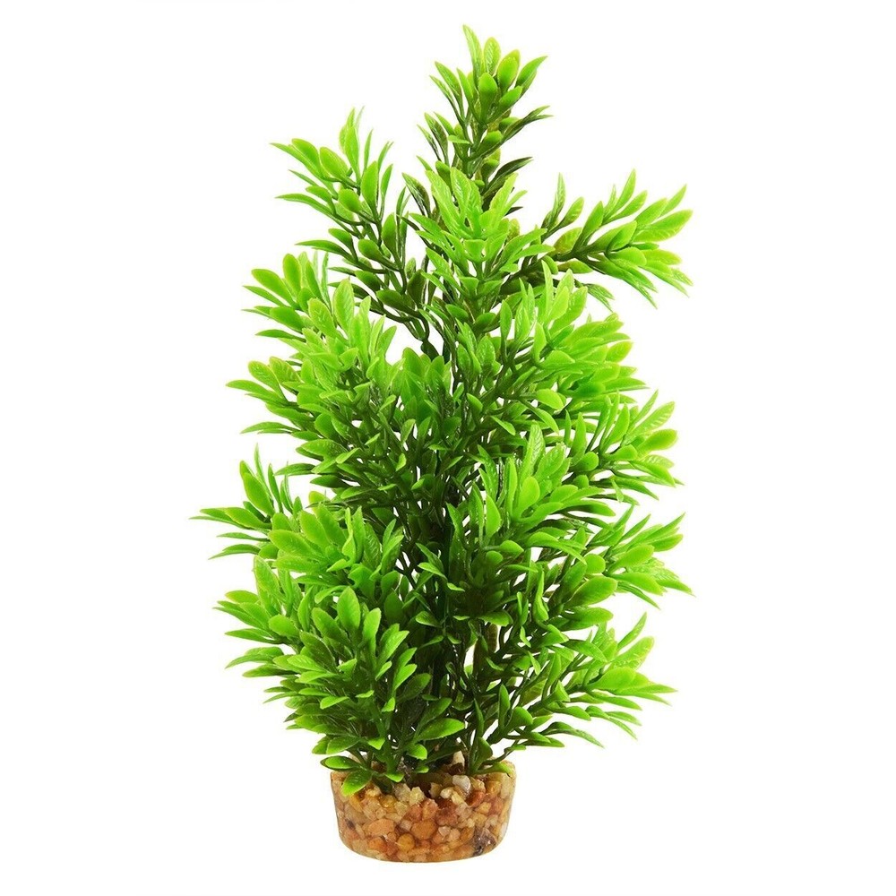 RA UNDERWATER TREASURES Hygro Tree - 8" (2 Pack)