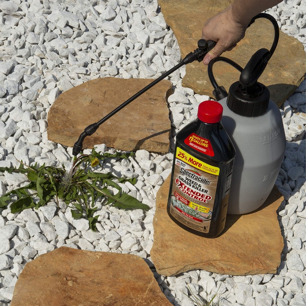 Weed & Grass Killer With Extended Control Concentrate Extended Weed And Grass...