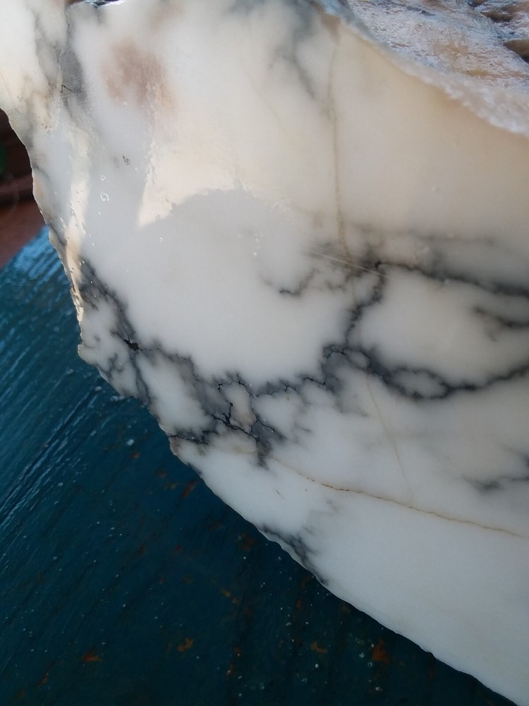 Lapidary Howlite Window Cut Spider Veining Collect Display