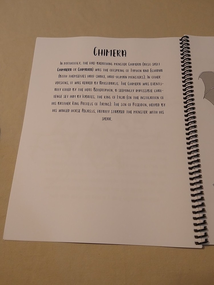 Dungeons and Dragons Coloring Book