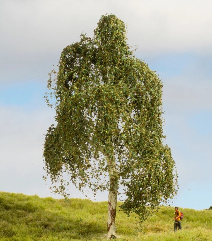 NOCH,Silver birch 18 cm, , NOC20120