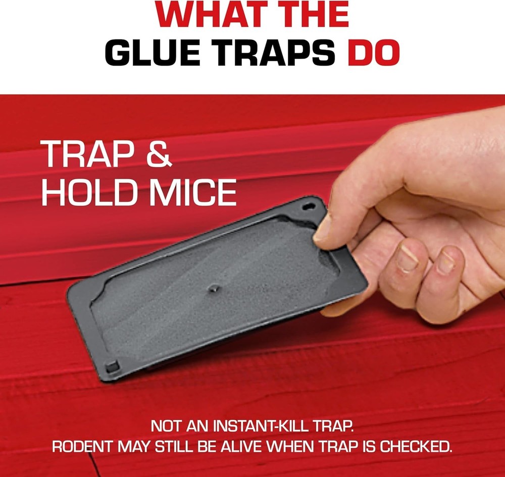 Disposable 6-Pack Glue Traps for Mice, Cockroaches & Spiders - Maximum Adherence