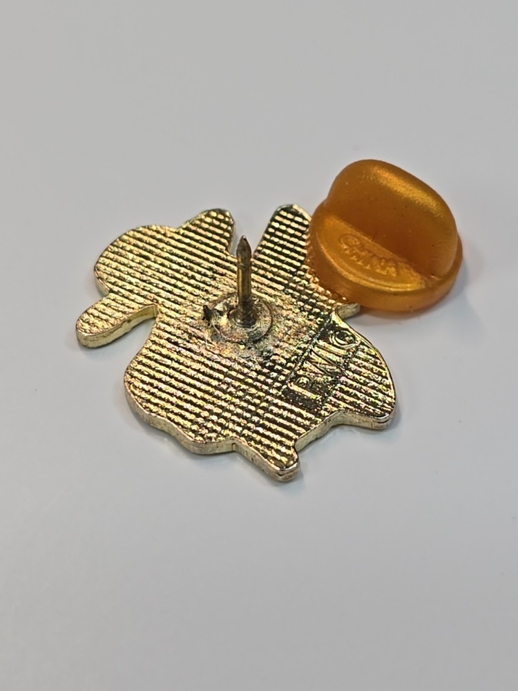 Native Texan Hat And Lasso Souvenir Lapel Pin