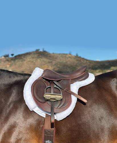 Professional's Choice VenTech Hunter Show Pad - White