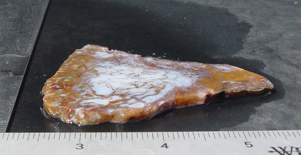 Gold Moss Agate Lapidary Slab 1487