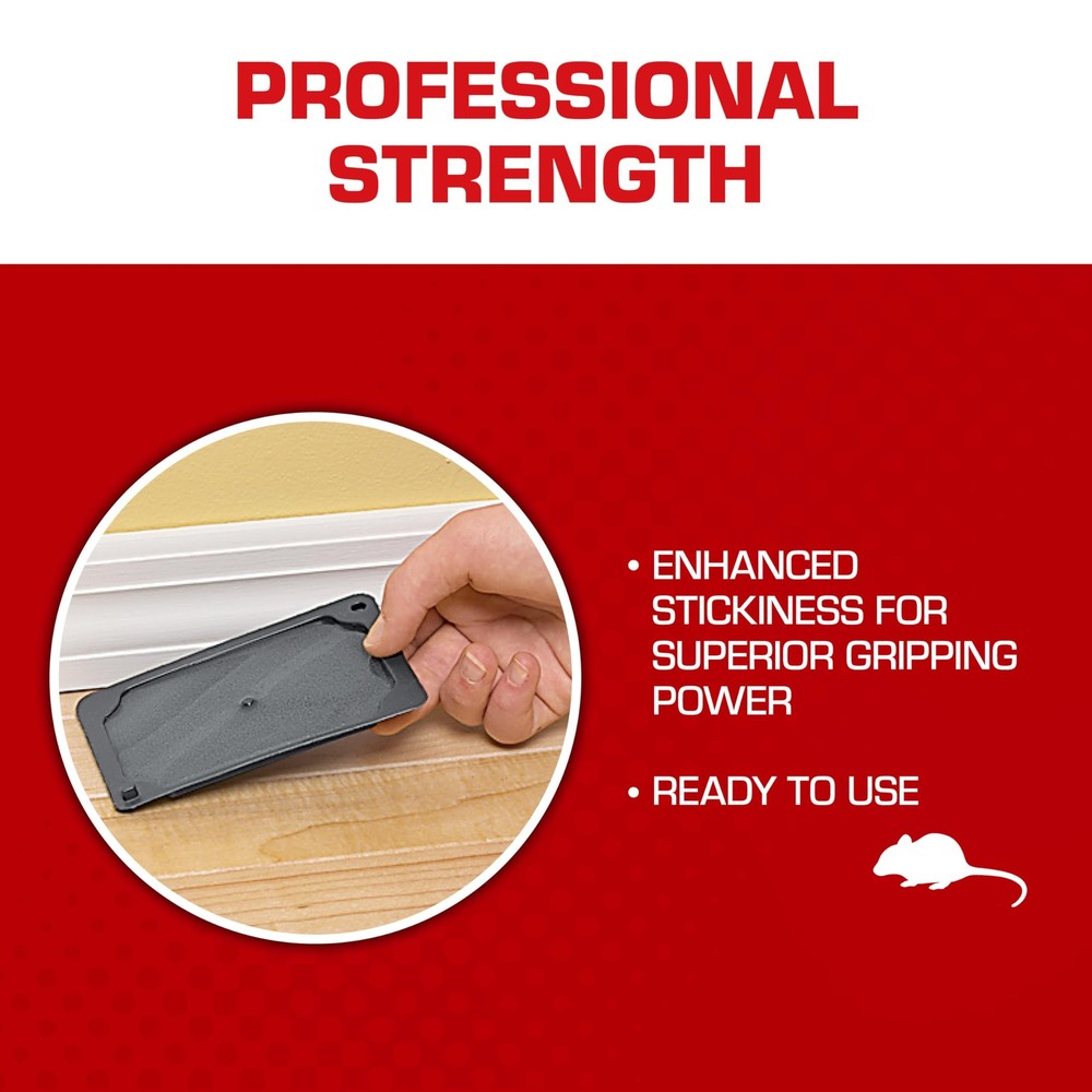 Glue Traps Mouse Size with Eugenol Enhanced Stickiness for Mice