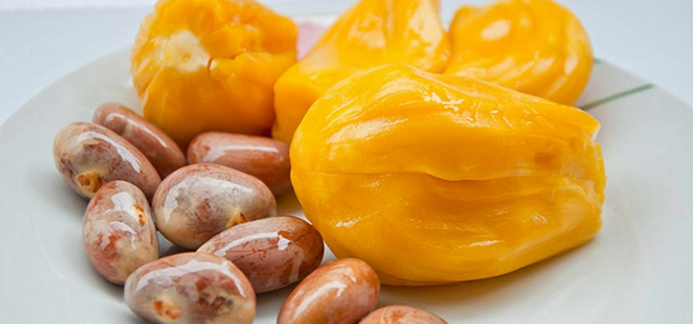 10 Oraganic Fresh JackFruit Seeds Tropical Worlds Largest Tropical Fruit seed
