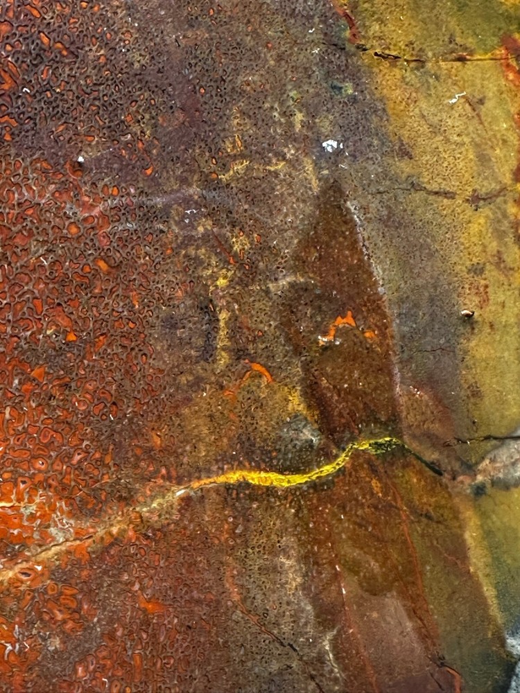 Dinosaur bone rough **hxtled large slab.