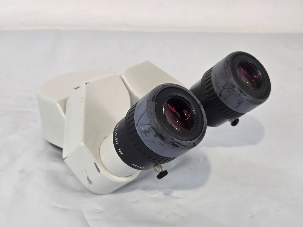 Wild Heerburg Microscope Binocular Head 25x9.5B