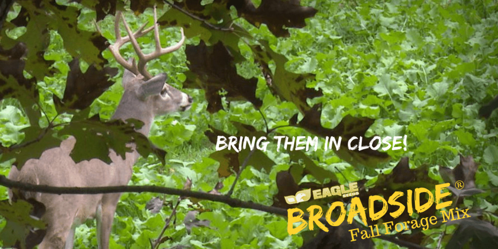 Eagle Seed Broadside® Fall Blend | Deer Food Plot Habitat Seed