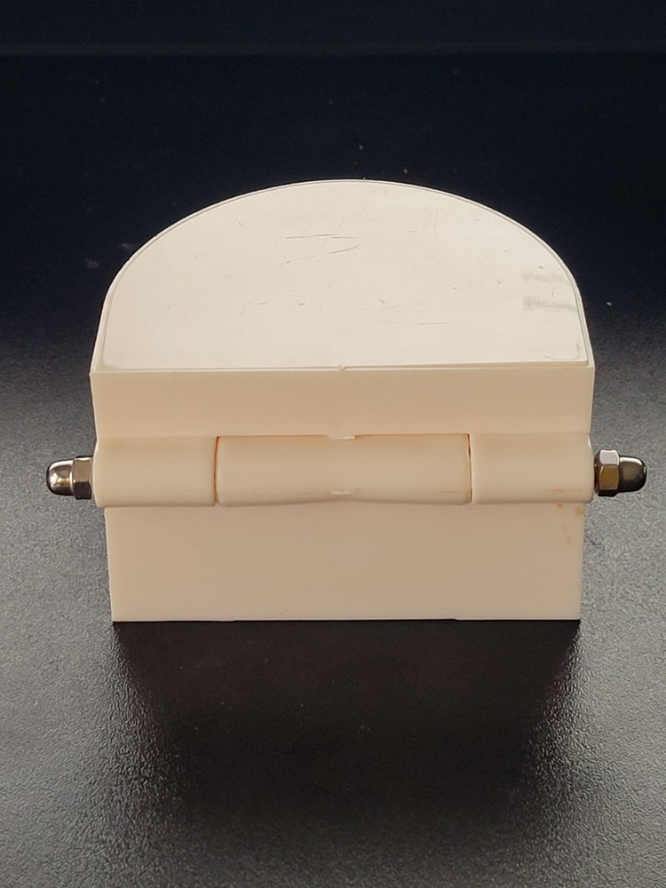 Dental Typodont Study Model - Fixed Teeth
