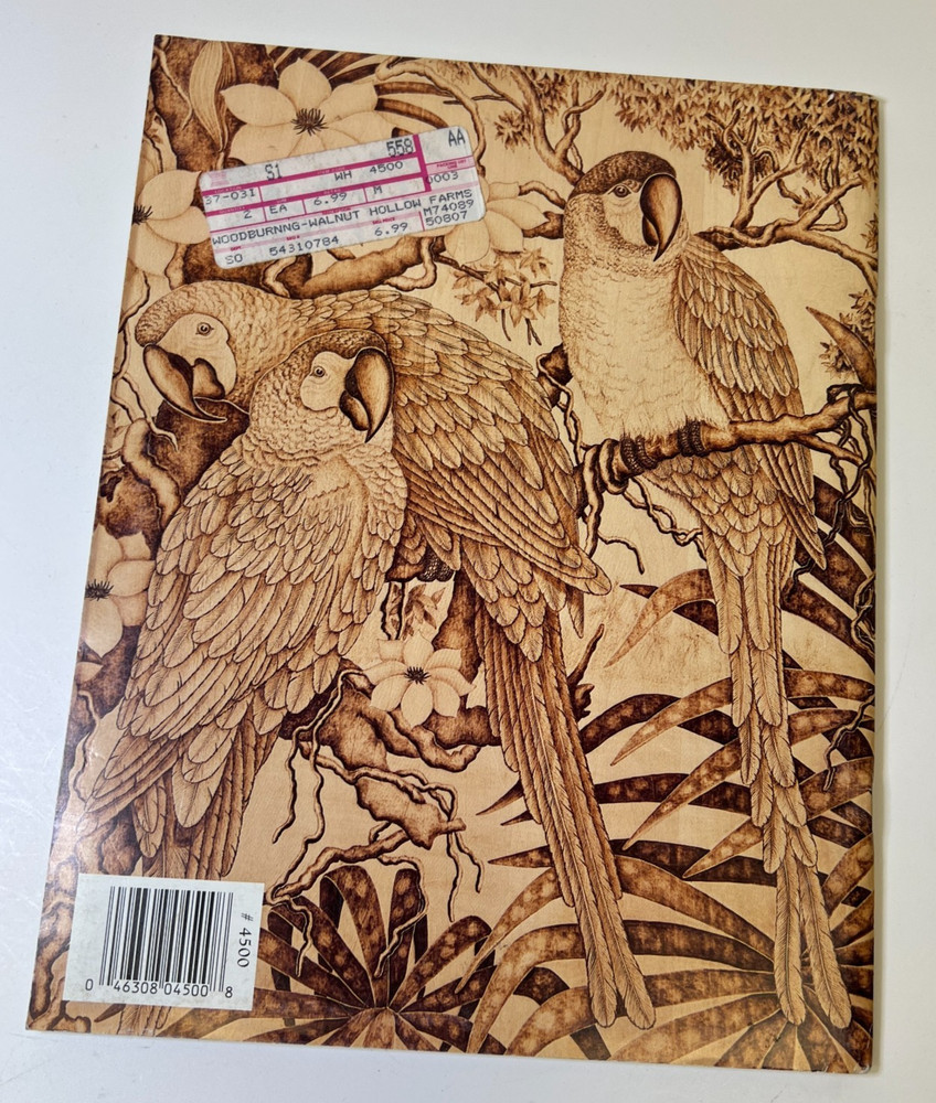 Creative Woodburning A Guide to Fundamental & Advanced Techniques