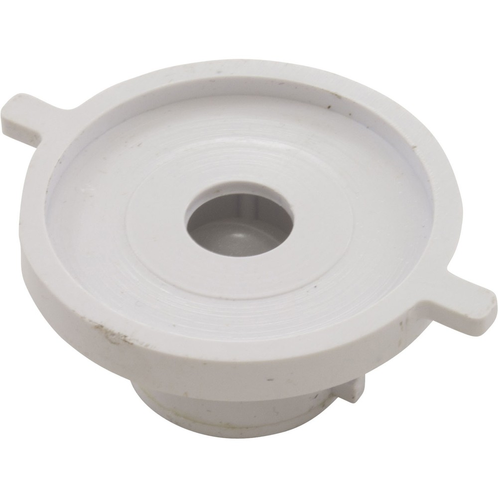 Check Valve Assembly, CMP PowerClean Mini Chlorinator : 25280-000-920